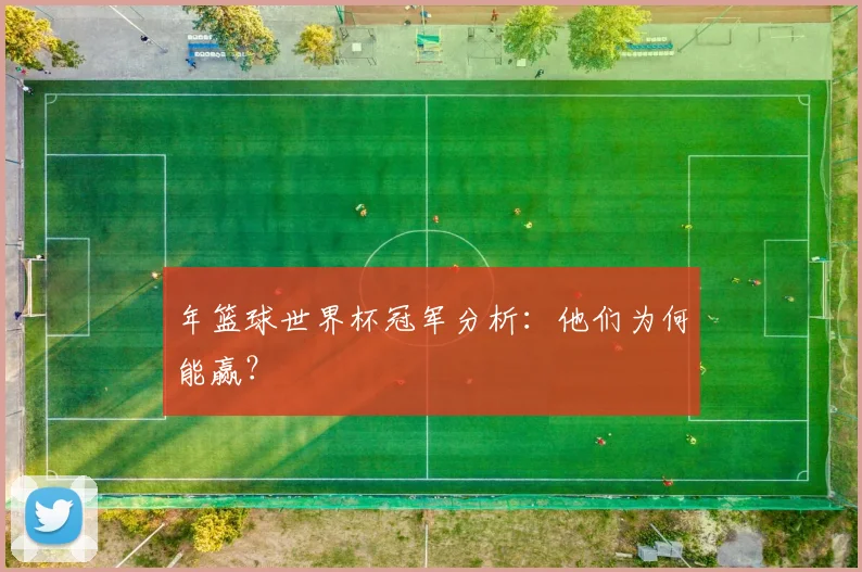 年篮球世界杯冠军分析:他们为何能赢?