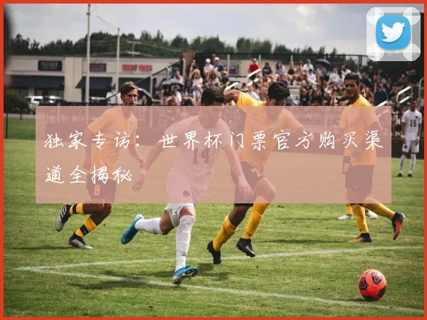 独家专访：世界杯门票官方购买渠道全揭秘