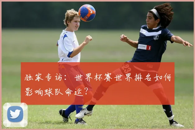 独家专访：世界杯赛世界排名如何影响球队命运？