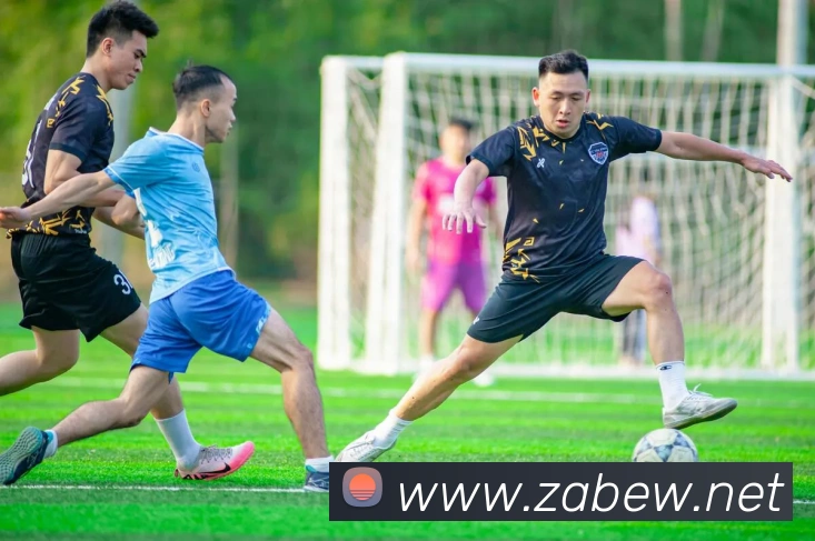 leyu乐涛官网地址APP 封面图